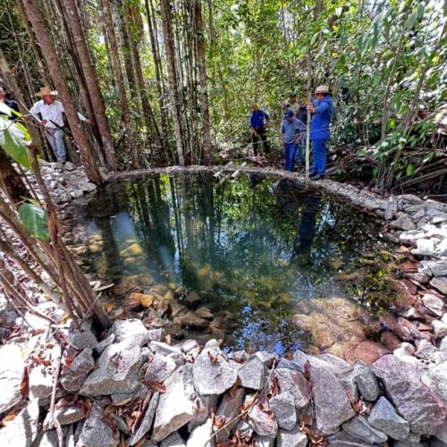 Governo de RO realiza visita técnica ao Projeto de Desenvolvimento Sustentável da Bacia do Rio Palmeiras