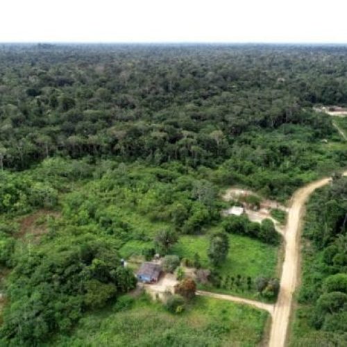 Desenvolvimento sustentável é fortalecido por rondonistas em áreas de selva amazônica, em Rondônia