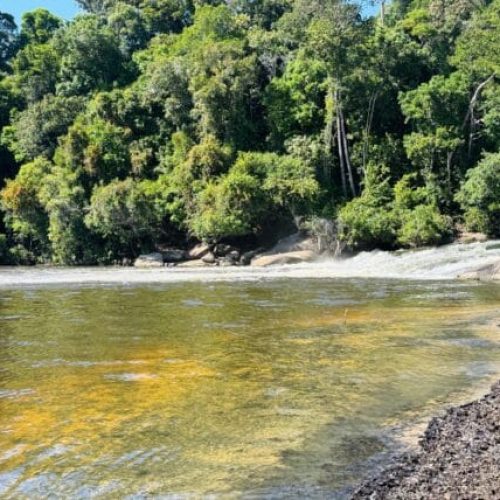 Parceria fortalece destinos e experiências turísticas de Rondônia no mercado internacional