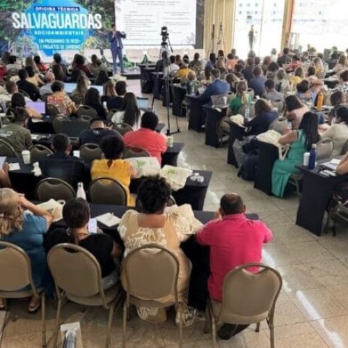 Preservação ambiental e desenvolvimento sustentável são discutidos durante oficina técnica em Brasília