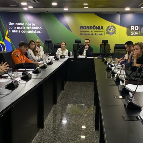 Construção do Plano Estadual Decenal da Primeira Infância de Rondônia tem mais uma reunião decisiva