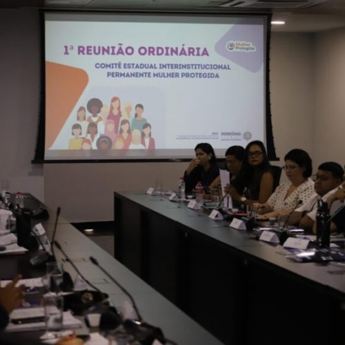 Ações do governo de RO para o combate à violência doméstica são destacadas em reunião do Comitê Estadual Mulher Protegida