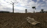 © Marcelo Camargo/Agência Brasil
