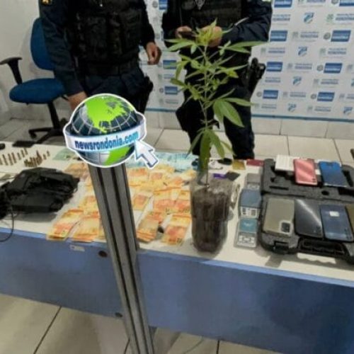PM recebe denúncia e prende dupla com armas, drogas, munições e um pé de maconha em condomínio
