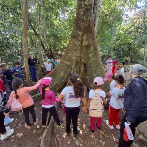 Governo de RO amplia ações de educação ambiental e reforça combate às queimadas com quase 10 mil pessoas alcançadas