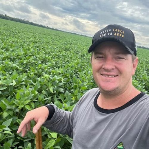 Dia Mundial do Meio Ambiente: Sicredi dobra liberação de recursos para Economia Verde