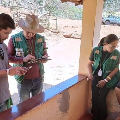 Veterinários da Idaron participam de simulado de atendimento a foco de febre aftosa em Minas Gerais