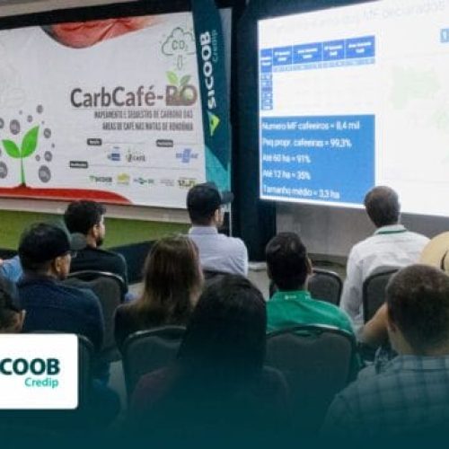 Estudo viabilizado pela Sicoob Credip comprova sustentabilidade do café de RO