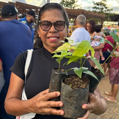 Semana do Meio Ambiente terá oficinas, ações educativas e distribuição de mudas