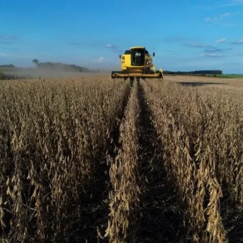 Avanço da colheita é afetado por chuvas irregulares em diferentes regiões do país  • REUTERS/Diego Vara