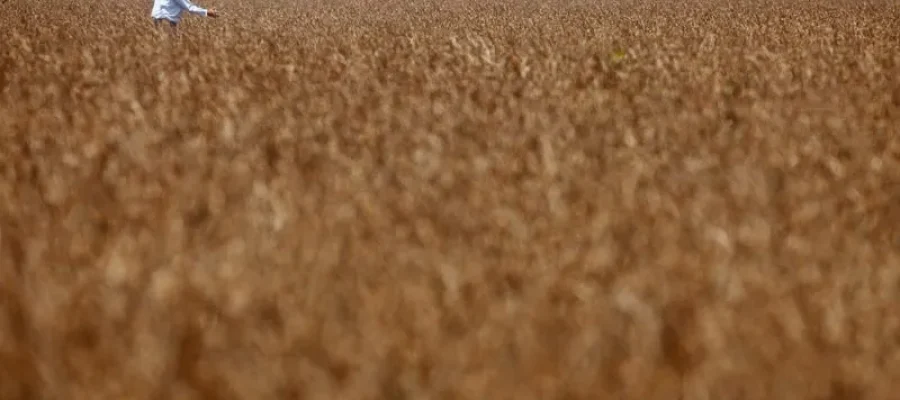 Trabalhador caminha em plantação de soja em fazenda na cidade de Tangará da Serra, em Cuiabá  • Um trabalhador caminha em uma plantação de soja em uma fazenda na cidade de Tangará da Serra, em Cuiabá, em 27 de março de 2012. REUTERS/Paulo Whitaker