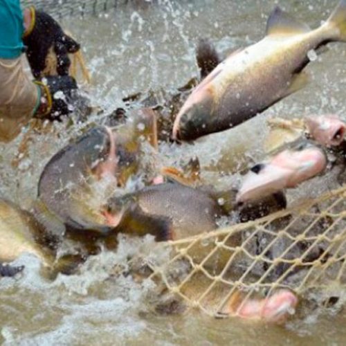 Governo de RO fortalece participação na Feira Internacional de Comércio e amplia atração de investimentos para o estado