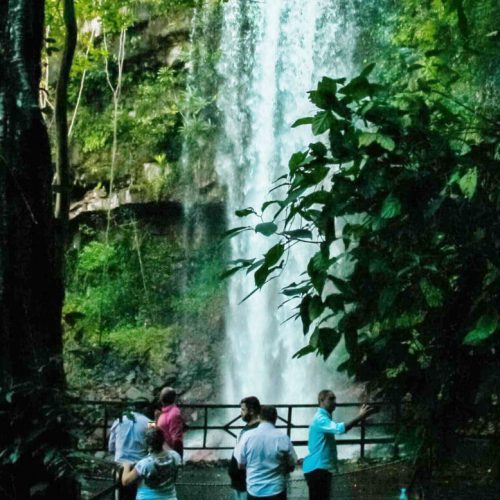 Dia do Turismo Ecológico: governo de RO celebra data e apresenta belezas naturais como destino no Carnaval 2025