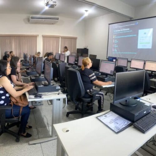 Governo de RO realiza capacitação sobre uso do Sistema Eletrônico de Informações para servidores municipais de Porto Velho
