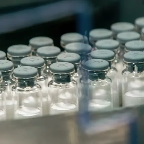 Vacina contra a dengue do Butantan começa a ser aplicada em janeiro