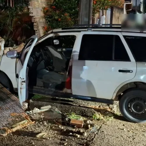 Vigilante é preso por embriaguez após derrubar muro de casa