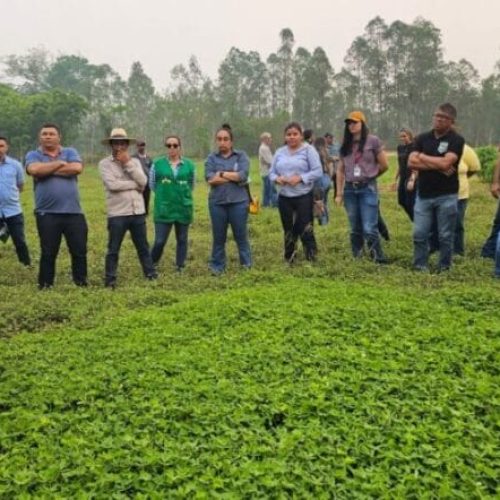 Técnicos do governo de Rondônia realizam visita técnica ao estado do Acre para conhecer modelo pecuário