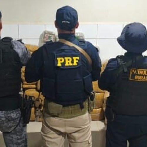 PRF, PM e Polícia Civil apreendem mais de 130 kg de maconha na BR-364