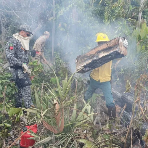 Corpo de Bombeiros abre seleção para brigadistas temporários durante época de queimadas em RO