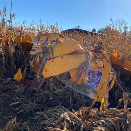 VÍDEO: Avião de pequeno porte cai e piloto sai sem ferimentos na zona rural de RO