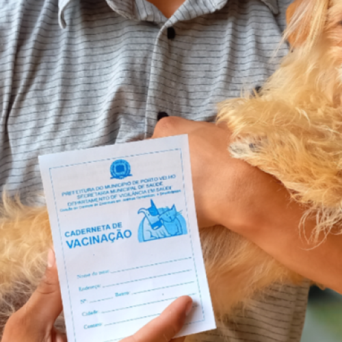Porto Velho divulga 102 pontos de vacinação antirrábica para o Dia D do ‘Setembro Caramelo’